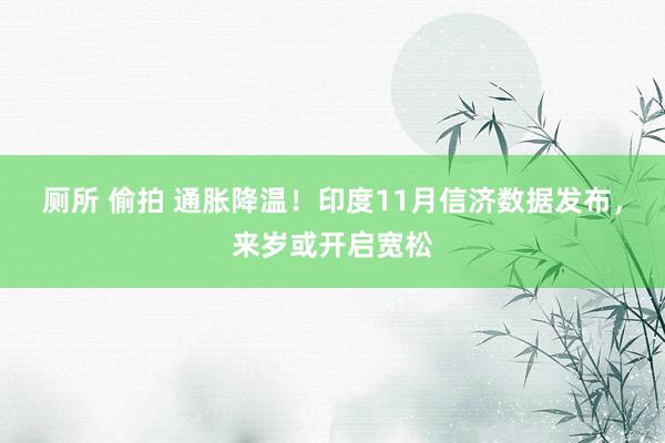 厕所 偷拍 通胀降温！印度11月信济数据发布，来岁或开启宽松