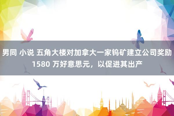 男同 小说 五角大楼对加拿大一家钨矿建立公司奖励1580 万好意思元，以促进其出产