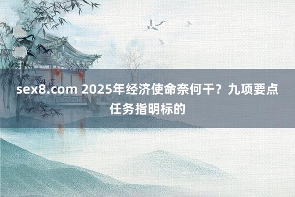 sex8.com 2025年经济使命奈何干？九项要点任务指明标的