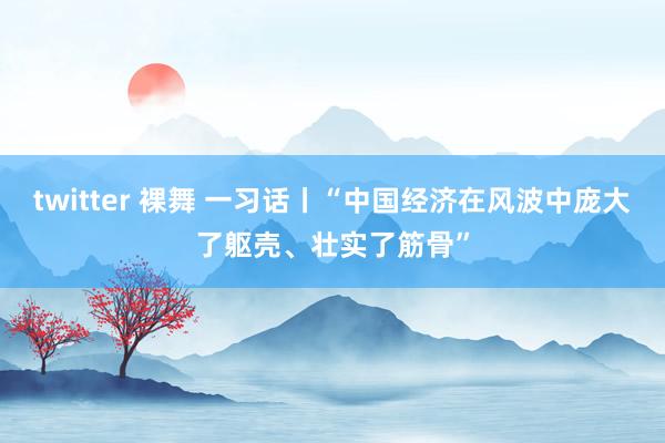 twitter 裸舞 一习话丨“中国经济在风波中庞大了躯壳、壮实了筋骨”