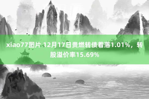 xiao77图片 12月17日贵燃转债着落1.01%，转股溢价率15.69%