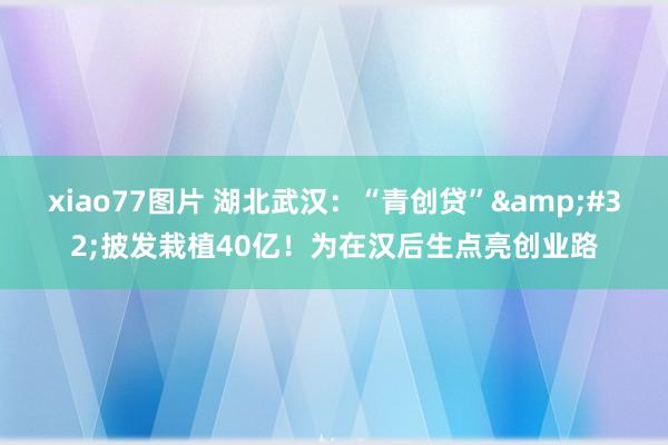 xiao77图片 湖北武汉：“青创贷”&#32;披发栽植40亿！为在汉后生点亮创业路