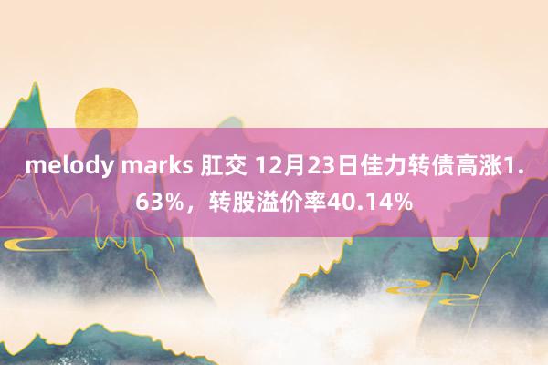 melody marks 肛交 12月23日佳力转债高涨1.63%，转股溢价率40.14%