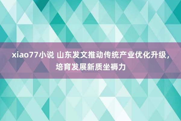 xiao77小说 山东发文推动传统产业优化升级，培育发展新质坐褥力