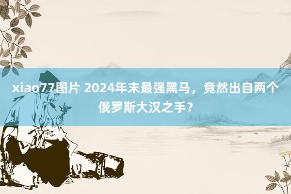 xiao77图片 2024年末最强黑马，竟然出自两个俄罗斯大汉之手？