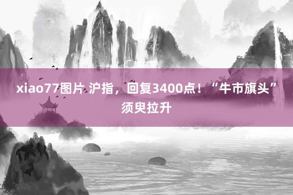 xiao77图片 沪指，回复3400点！“牛市旗头”须臾拉升