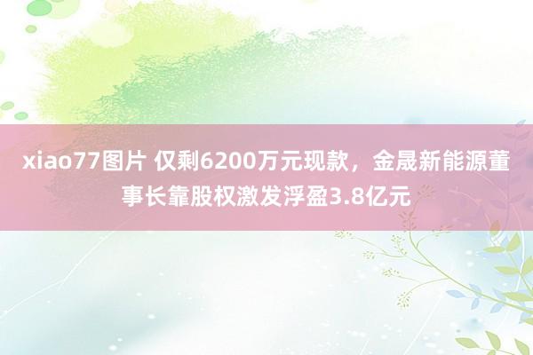 xiao77图片 仅剩6200万元现款，金晟新能源董事长靠股权激发浮盈3.8亿元