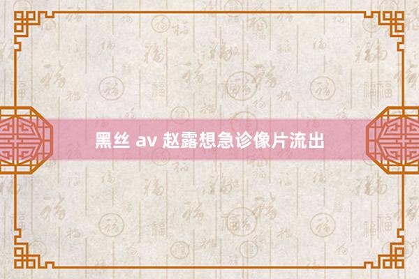 黑丝 av 赵露想急诊像片流出