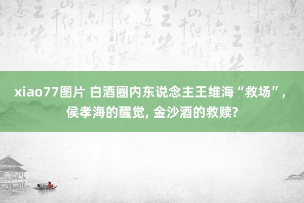 xiao77图片 白酒圈内东说念主王维海“救场”， 侯孝海的醒觉， 金沙酒的救赎?