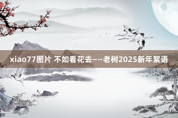 xiao77图片 不如看花去——老树2025新年絮语