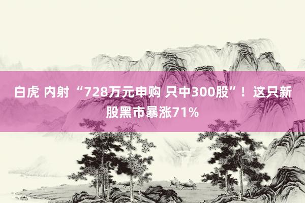 白虎 内射 “728万元申购 只中300股”！这只新股黑市暴涨71%