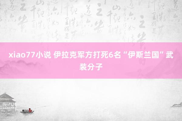 xiao77小说 伊拉克军方打死6名“伊斯兰国”武装分子