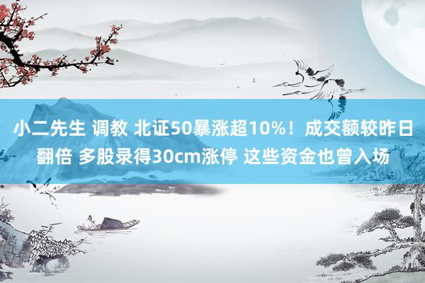 小二先生 调教 北证50暴涨超10%！成交额较昨日翻倍 多股录得30cm涨停 这些资金也曾入场