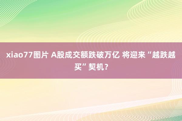 xiao77图片 A股成交额跌破万亿 将迎来“越跌越买”契机？